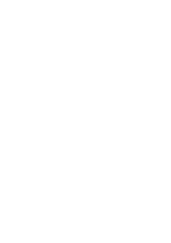 La Katrina Surf Shop — calavera mark